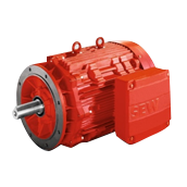 IEC motors